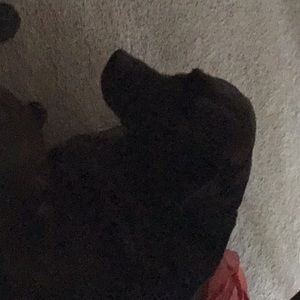 Meet your Posher, Brad